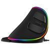 Vertical Ergonomic Snail RGB Anti-Mouse Hand Wired Mouse - GLAXPHONE